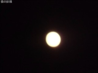 s-CIMG1046.jpg