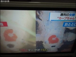 s-CIMG1320.jpg