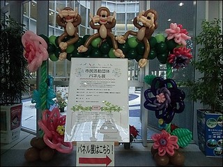 s-CIMG8430.jpg