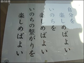 s-CIMG8470.jpg