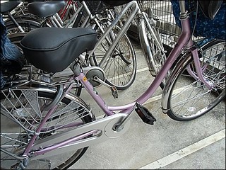s-CIMG8475.jpg