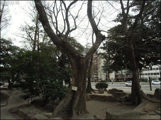 s-CIMG8477.jpg