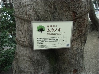 s-CIMG8478.jpg
