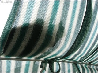 s-CIMG8577.jpg