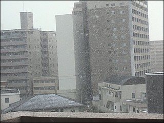 s-CIMG8584.jpg