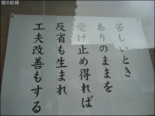 s-CIMG8636.jpg