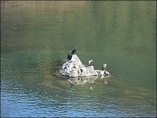 s-CIMG8697.jpg