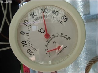 s-CIMG8864.jpg