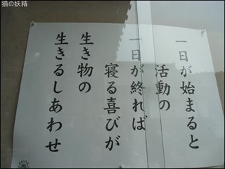 s-CIMG8894.jpg