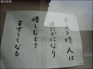 s-CIMG8954.jpg