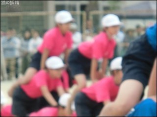 s-CIMG8986 - コピー.jpg