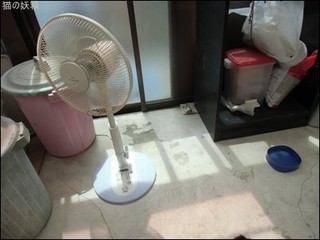 s-CIMG9027.jpg