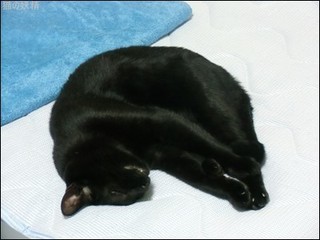 s-CIMG9315 - コピー.jpg