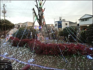 s-CIMG9570.jpg