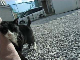 s-CIMG9632.jpg