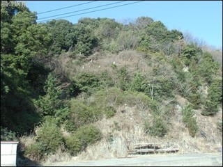 s-CIMG9721.jpg