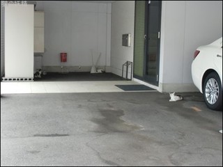 s-CIMG9894.jpg