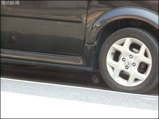 s-CIMG9900.jpg