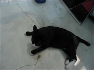 s-CIMG9913.jpg