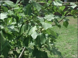 s-CIMG9976.jpg
