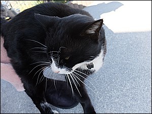 s-DSCF0048.jpg