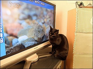 s-DSCF0178.jpg