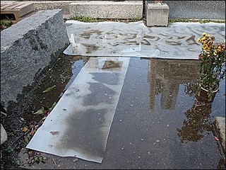 s-DSCF0210.jpg