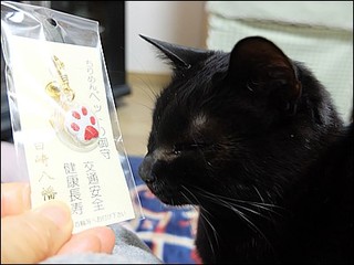 s-DSCF0220 - コピー.jpg