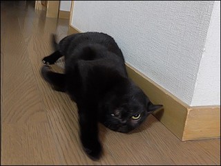 s-DSCF0243.jpg