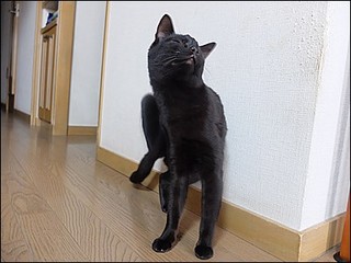 s-DSCF0250.jpg