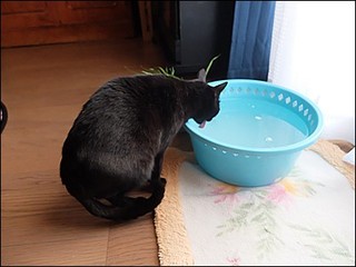s-DSCF0256.jpg