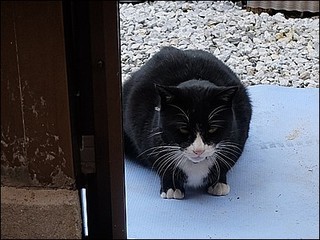 s-DSCF0280.jpg