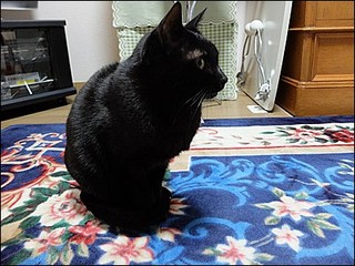 s-DSCF0291.jpg