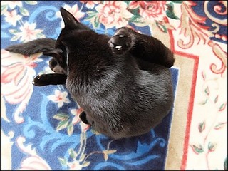 s-DSCF0314.jpg