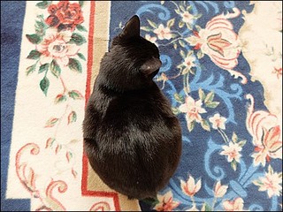 s-DSCF0344.jpg