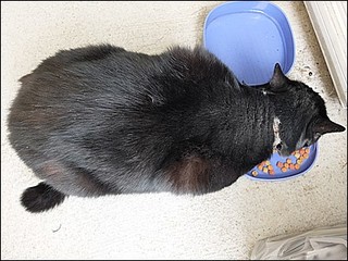 s-DSCF0348.jpg