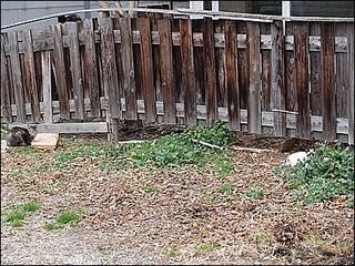 s-DSCF0412.jpg