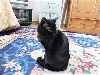s-DSCF0416.jpg