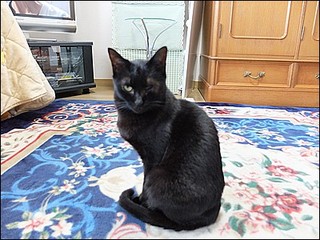 s-DSCF0418.jpg