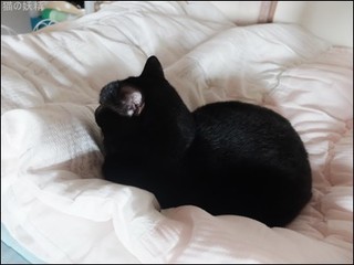 s-DSCF0421.jpg