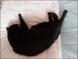 s-DSCF0494.jpg