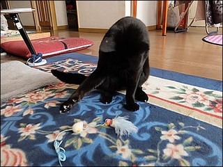 s-DSCF0507.jpg