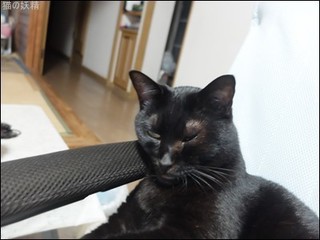s-DSCF0534.jpg