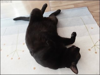 s-DSCF0545.jpg