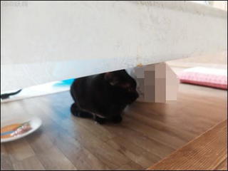 s-DSCF0576.jpg