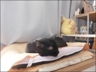 s-DSCF0584.jpg