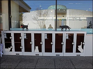 s-DSCF0628.jpg