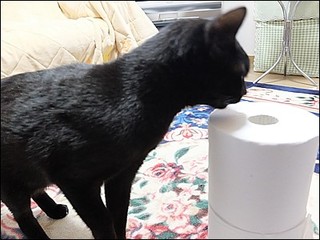 s-DSCF0679.jpg