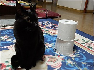s-DSCF0689.jpg