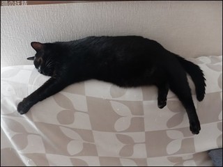 s-DSCF0691.jpg